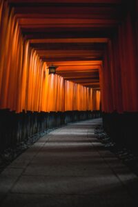 京都で豊胸に最適なクリニックはどこがおすすめ？