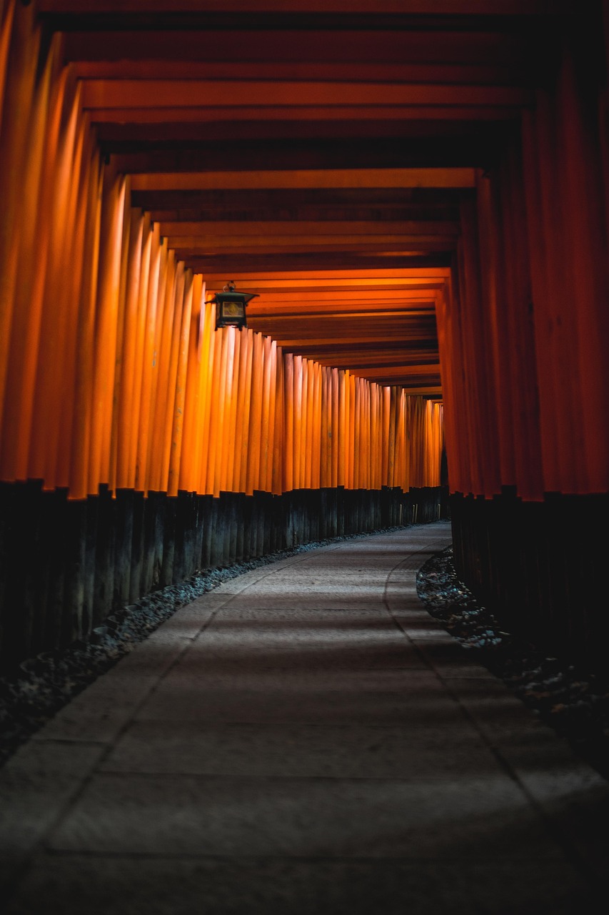 京都で豊胸に最適なクリニックはどこがおすすめ？