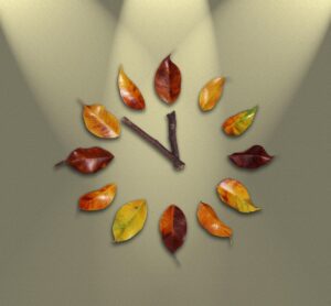 豊胸術後の経過をブログで詳しく解説しているのはどこですか？