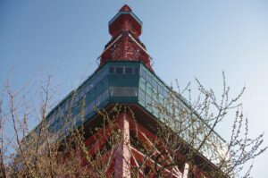 札幌で豊胸を考えるならおすすめのクリニックはどこ？