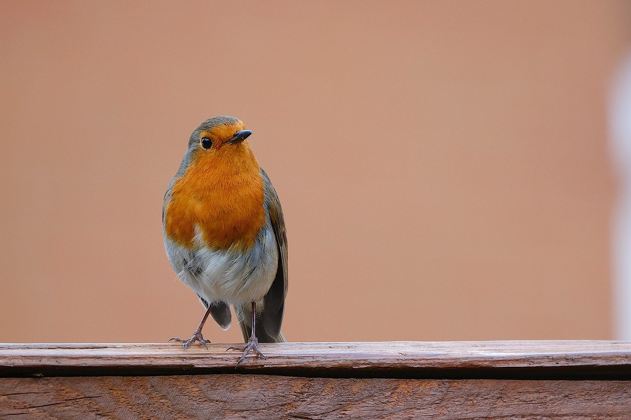 シリコン豊胸の副作用にはどんなものがあるの？