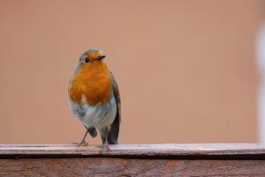 シリコン豊胸の副作用にはどんなものがあるの？