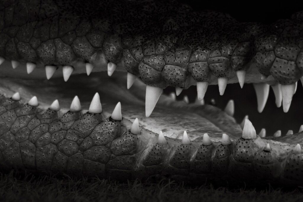 格安の豊胸手術にはどのような危険が潜んでいるのか？