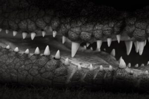 格安の豊胸手術にはどのような危険が潜んでいるのか？