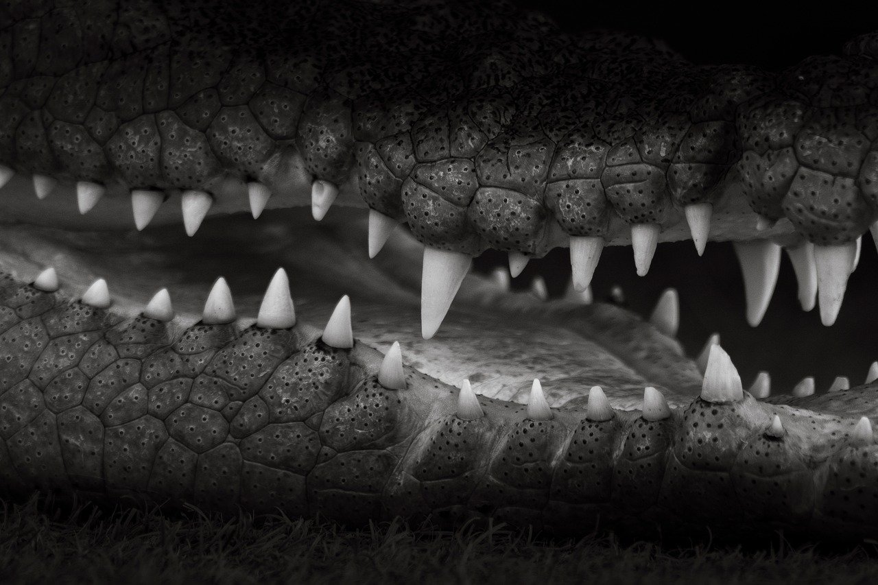 格安の豊胸手術にはどのような危険が潜んでいるのか？