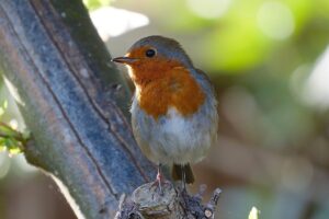 胸が小さい悩みを解決する方法は？