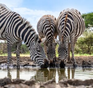 OLの20代がバストアップ整形の無料カウンセリングを断る方法は？