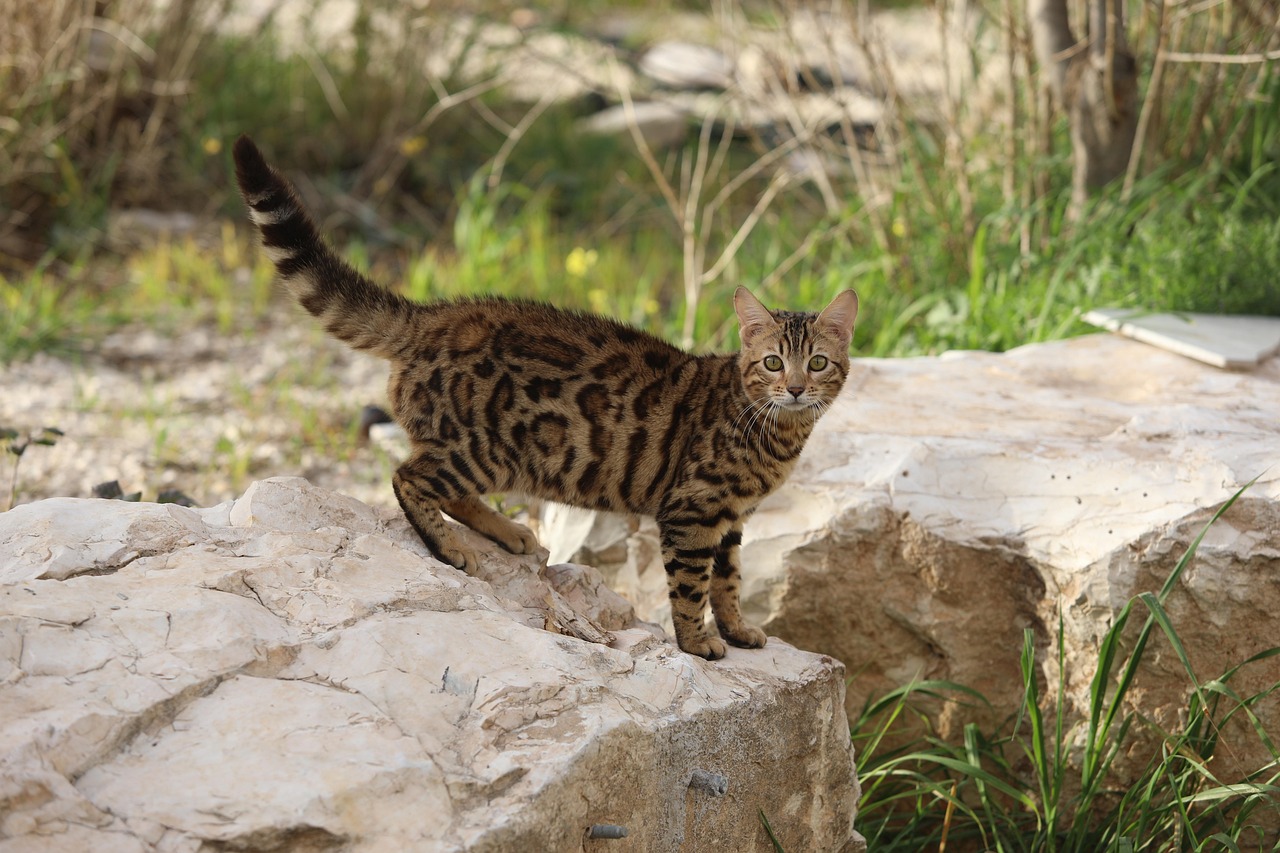 失敗しない豊胸の選び方とは？